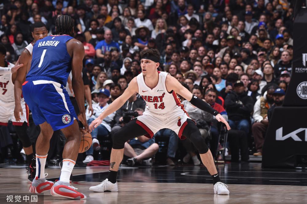 理而聪明的 理而聪明的